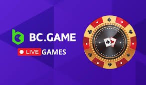 Comprehensive Review of BC Game A New Era in Online Gambling