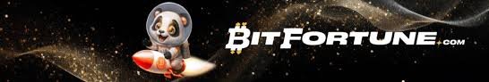 How ADA Works at Bitfortune An In-Depth Guide