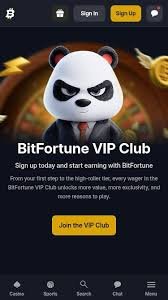 Mastering Live Baccarat Strategies at Bitfortune Your Ultimate Guide