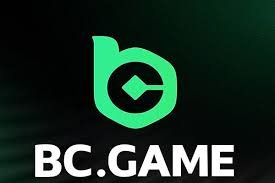 Understanding BC.Game Terms & Conditions Understanding BC.Game Terms & Conditions