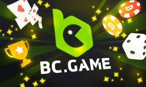 Understanding BC.Game Terms & Conditions Understanding BC.Game Terms & Conditions